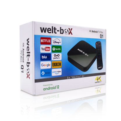 Welt-Box Q1 4K ANDROID TV BOX resmi