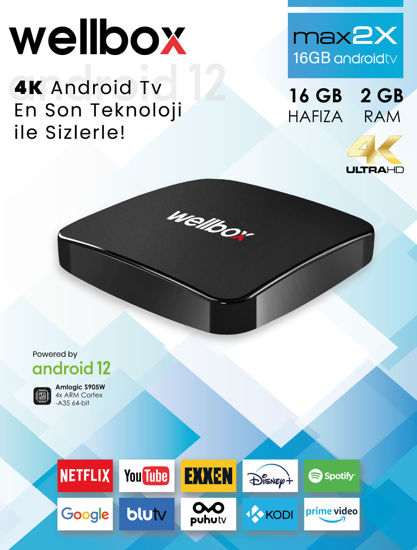 WELLBOX MAX2X 16GB ANDROID 12 TV resmi